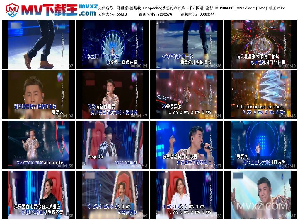 马世豪-就是我_Despacito(梦想的声音第二季)_国语_流行_MD106086